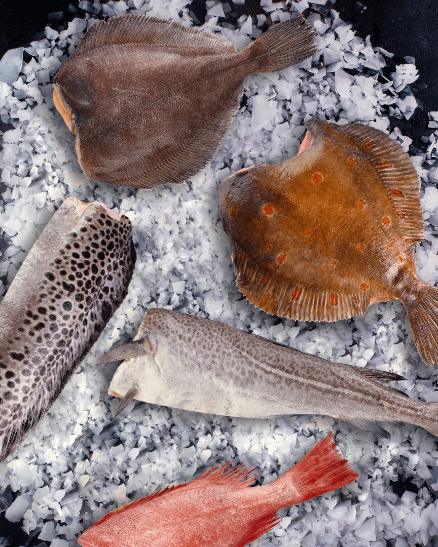 МУРМАНСКИЙ АССОРТИМЕНТ