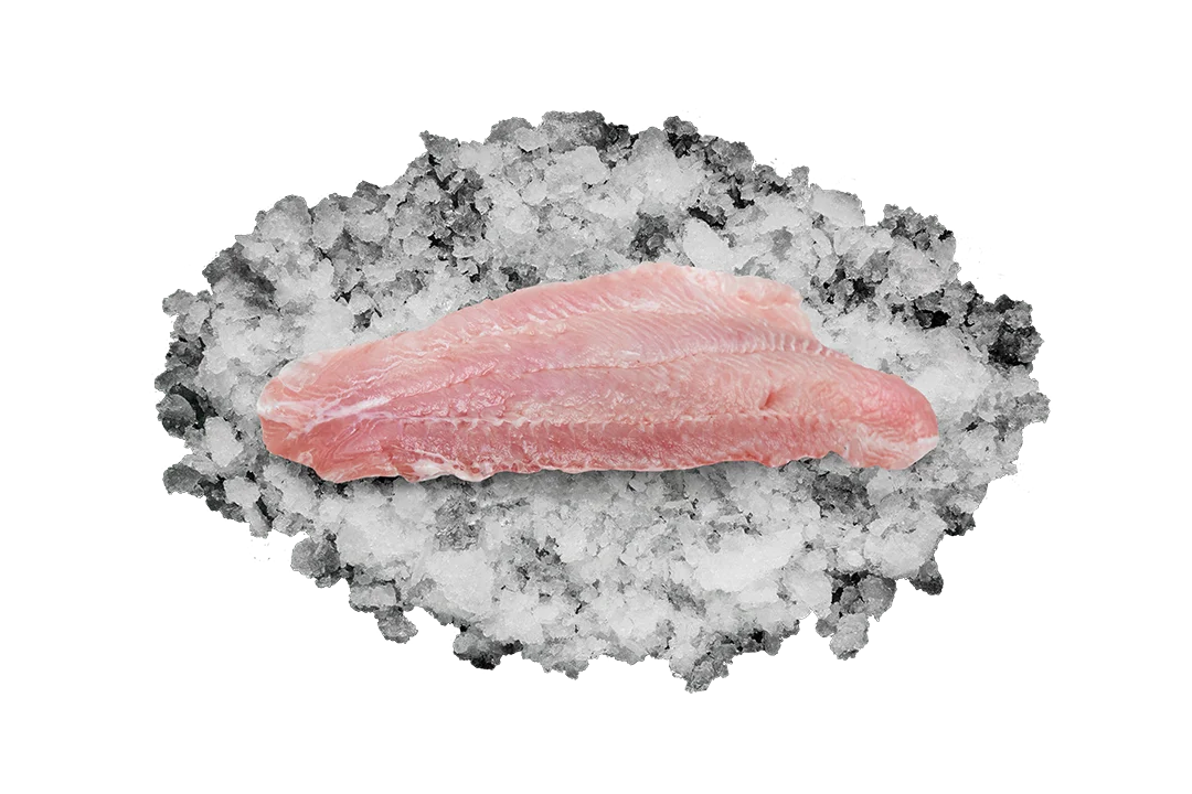 Пангасиус филе