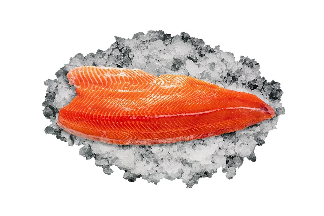 Филе Лосося