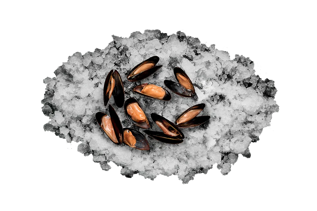 Мидии  в створках